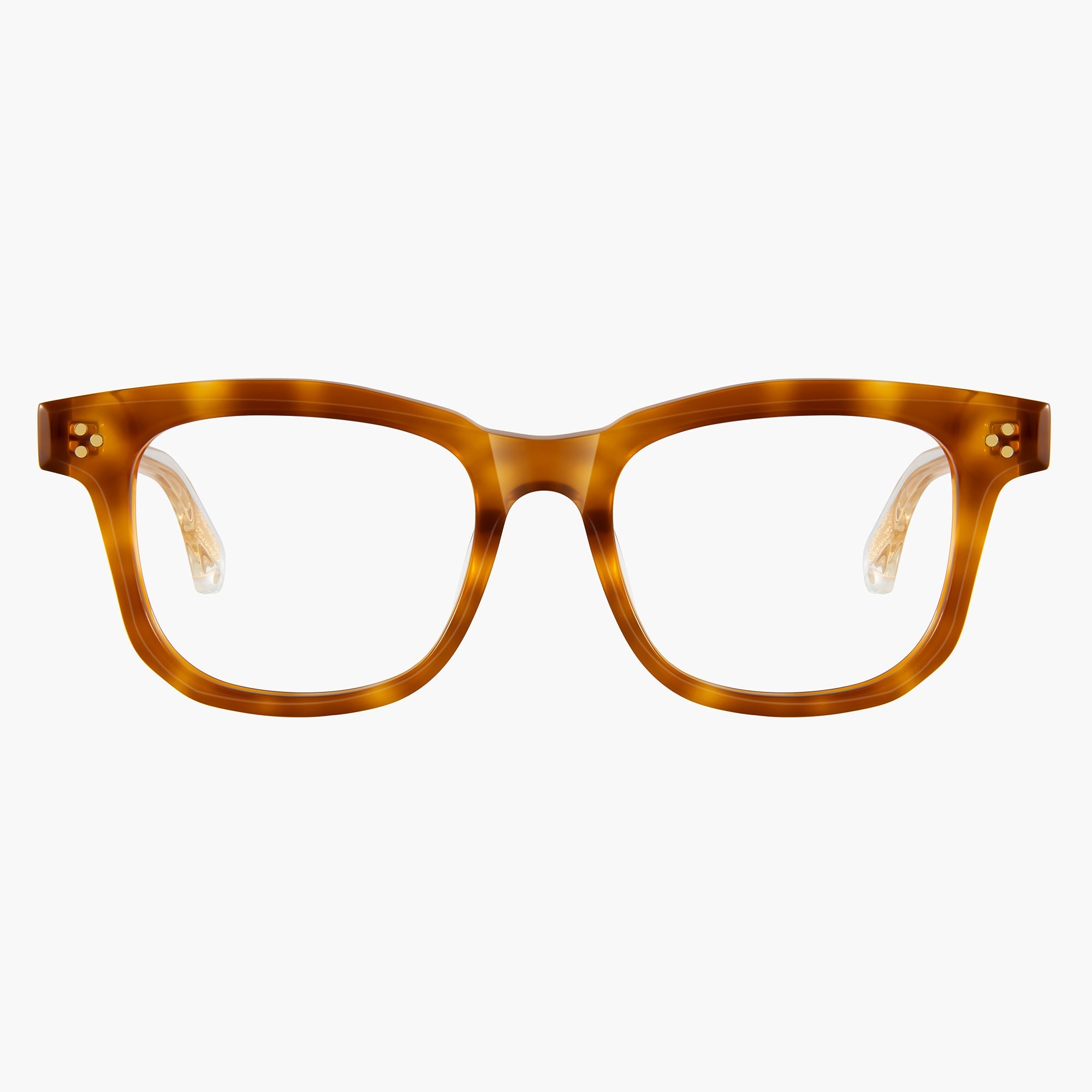 Donahugh-eyeglasses-tortoise